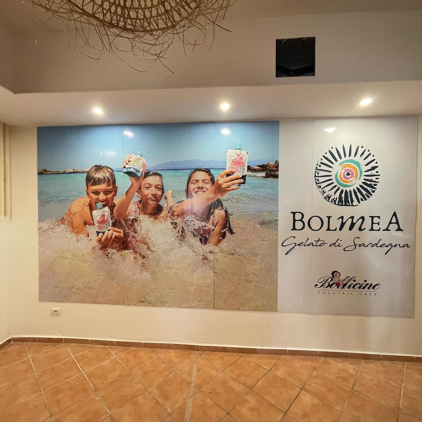 Stampa grande formato — installazione murale Bolmea